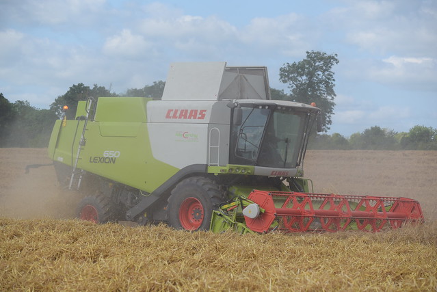 Claas Lexion 650 Combine Harvester cutting Winter Barley