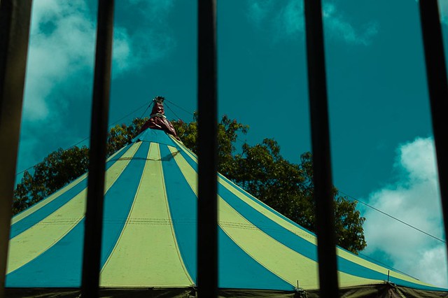 Tenda de circo, no Sítio da Trindade, Recife Como é bom sorrir sendo platéia