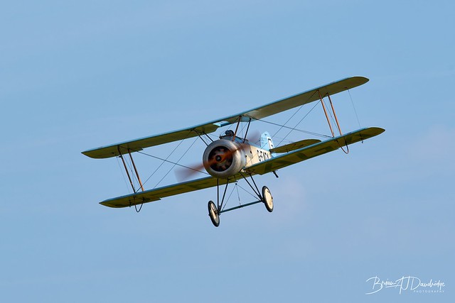 Sopwith Dove at Old Warden