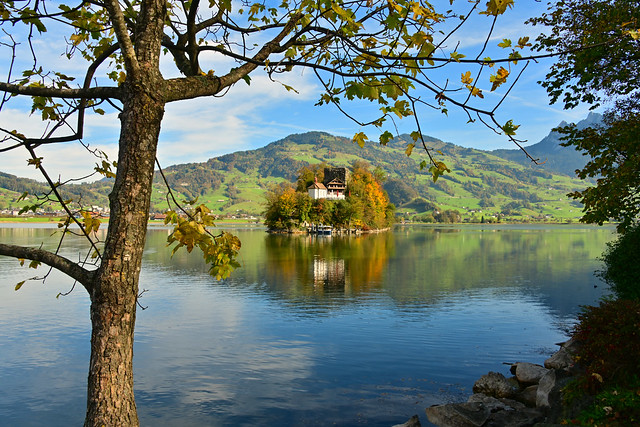 Beautiful lake in autumn
