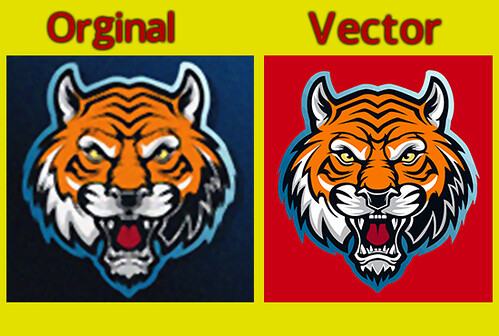 vector tracing, vector trace, convert to vector, jpg to vector, raster to vector, vectorise, redraw,