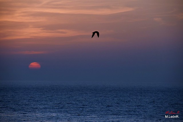 Sunrise ( IV ).- Fuerteventura Island.- Canary Islands.