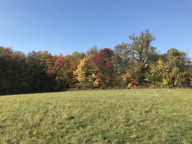 Herbstlandschaft Südoststeiermark