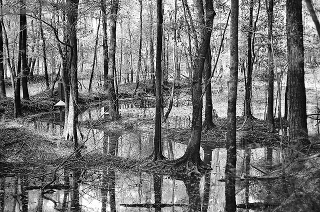 “Marsh and Overflow Pools in Black & White”