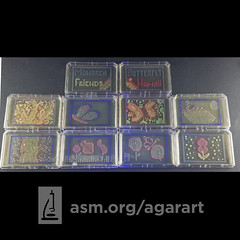 2021 Agar Art Contest- Traditional (Non-Professional) Category Submissions