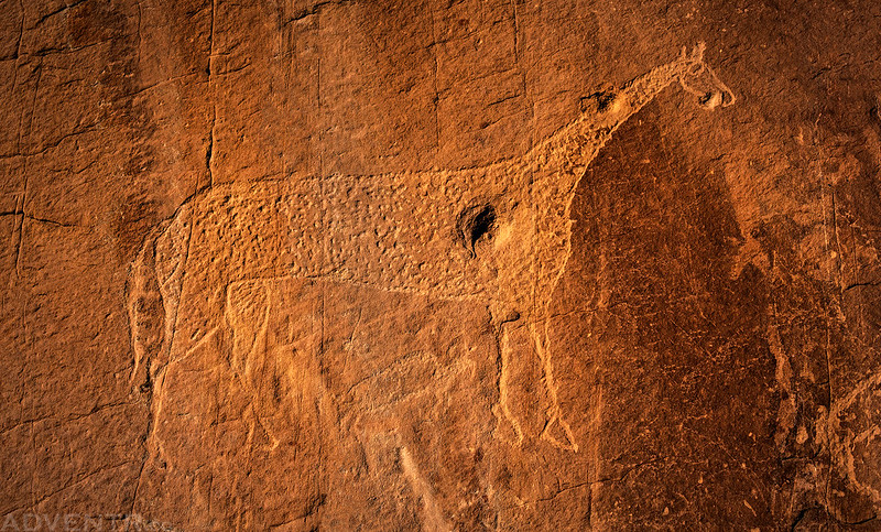 Big Horse Petroglyph