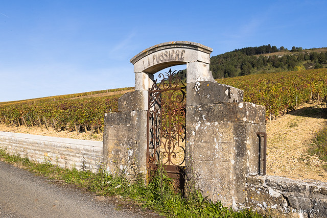_45I5321 Vignoble bourguignon (Burgundy vineyard landscape)