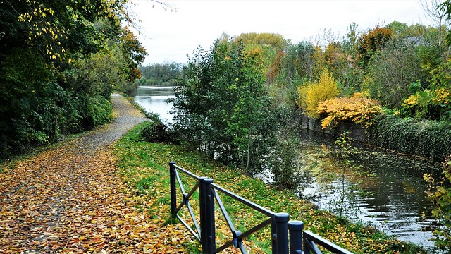 l'ancien canal en Automne