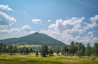 Mountain View at National Forest