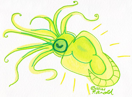 10.28.21 - Botober Firefly Squid