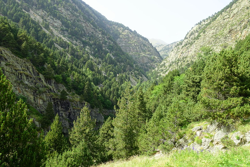 EL ESPECTACULAR VALLE DE NURIA (GIRONA). SUBIDA EN TREN Y BAJADA ANDANDO. - Senderismo por España. Mis rutas favoritas: emblemáticas, paseos y caminatas (70)