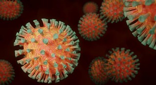 Delta plus: cosa sappiamo sulla nuova variante del coronavirus