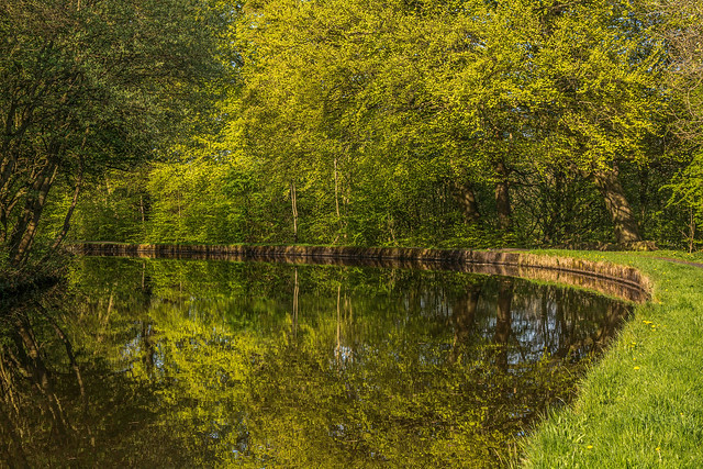 Reflections along the canal #onexplore