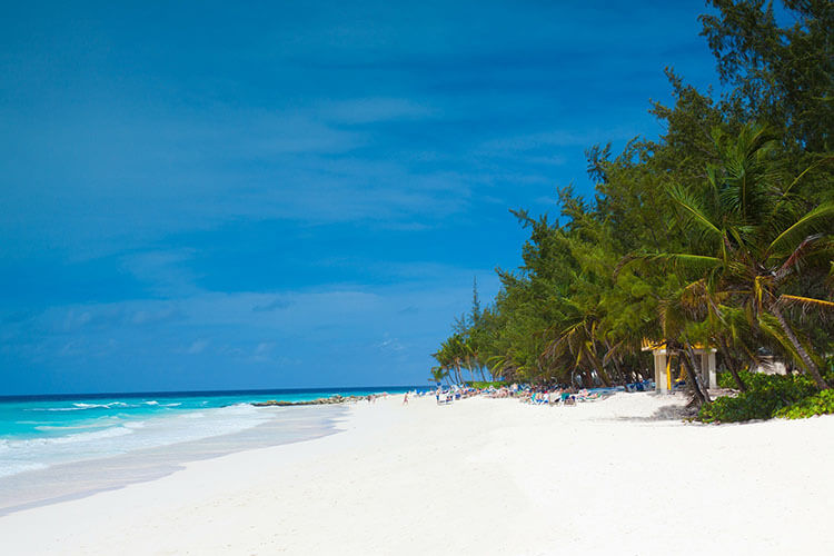 Activities to do in Barbados