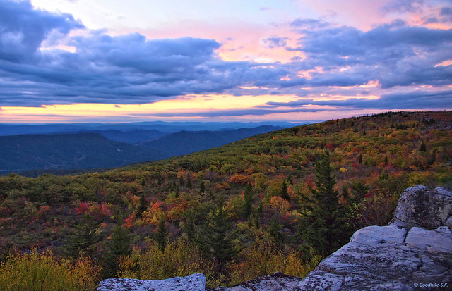 Endless Wilderness, Dolly Sods, West Virginia