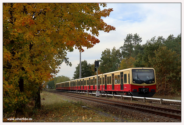 S-Bahn Berlin - 2021-45