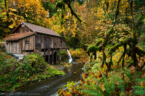 creek mill cedarcreek gristmill foliage pacificnorthwest landscape washington historic autumn building trees fall cedarcreekgristmill americana old wood tree leaves rural usa moss maple yellow stream water forest scenic tomschwabel