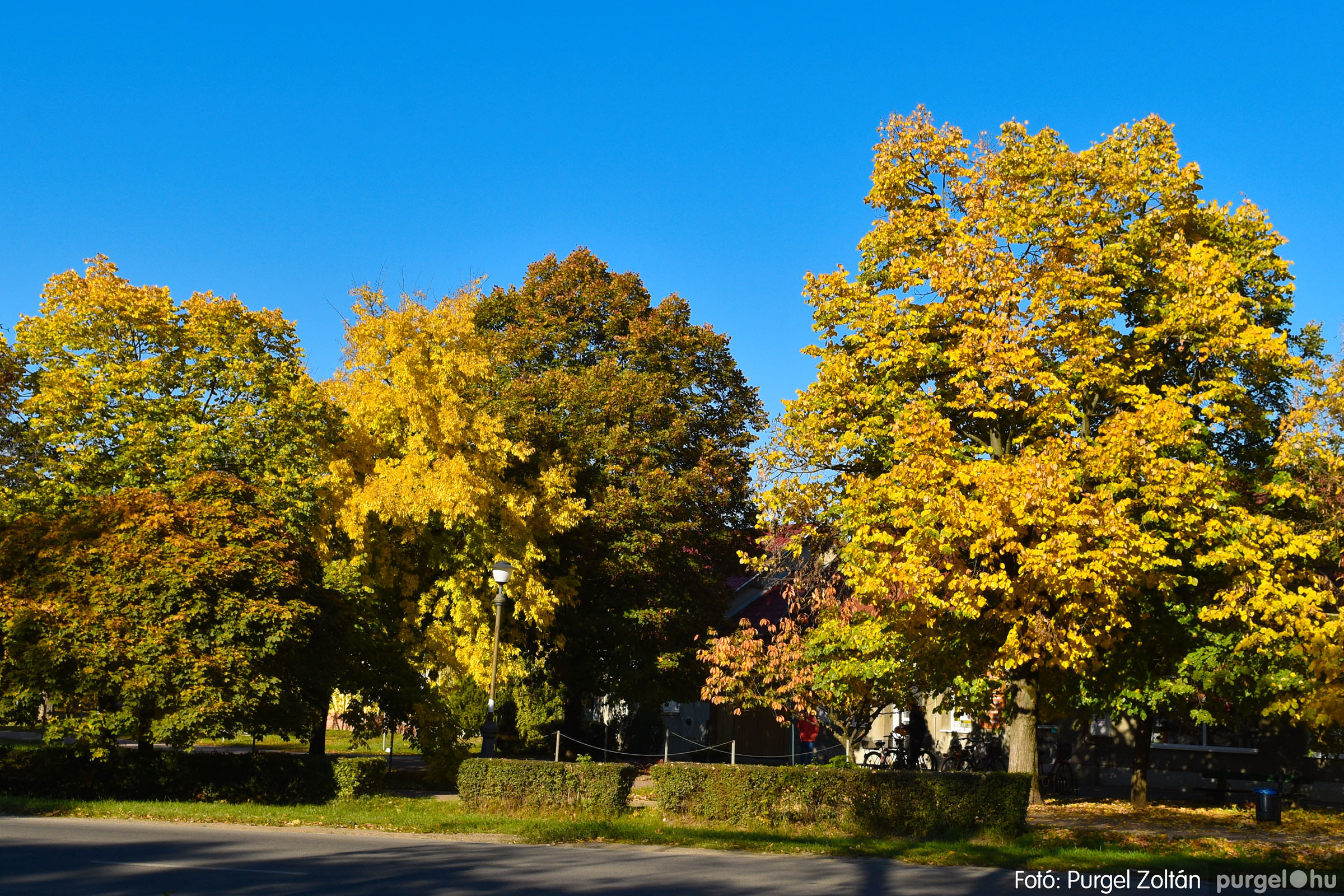 2021.10.29. 003 Őszi színek a faluközpontban - Fotó：PURGEL ZOLTÁN© DSC_1363q.jpg