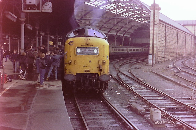 That sound!  1V93, the Edinburgh-Plymouth service on 14th March 1981, my 17th birthday. English Electric Napier Deltic 55022 ROYAL SCOTS GREY at Newcastle's platform 10