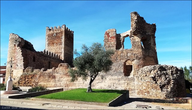 Castillo de Laguna de Negrillos (León)  - S. XII