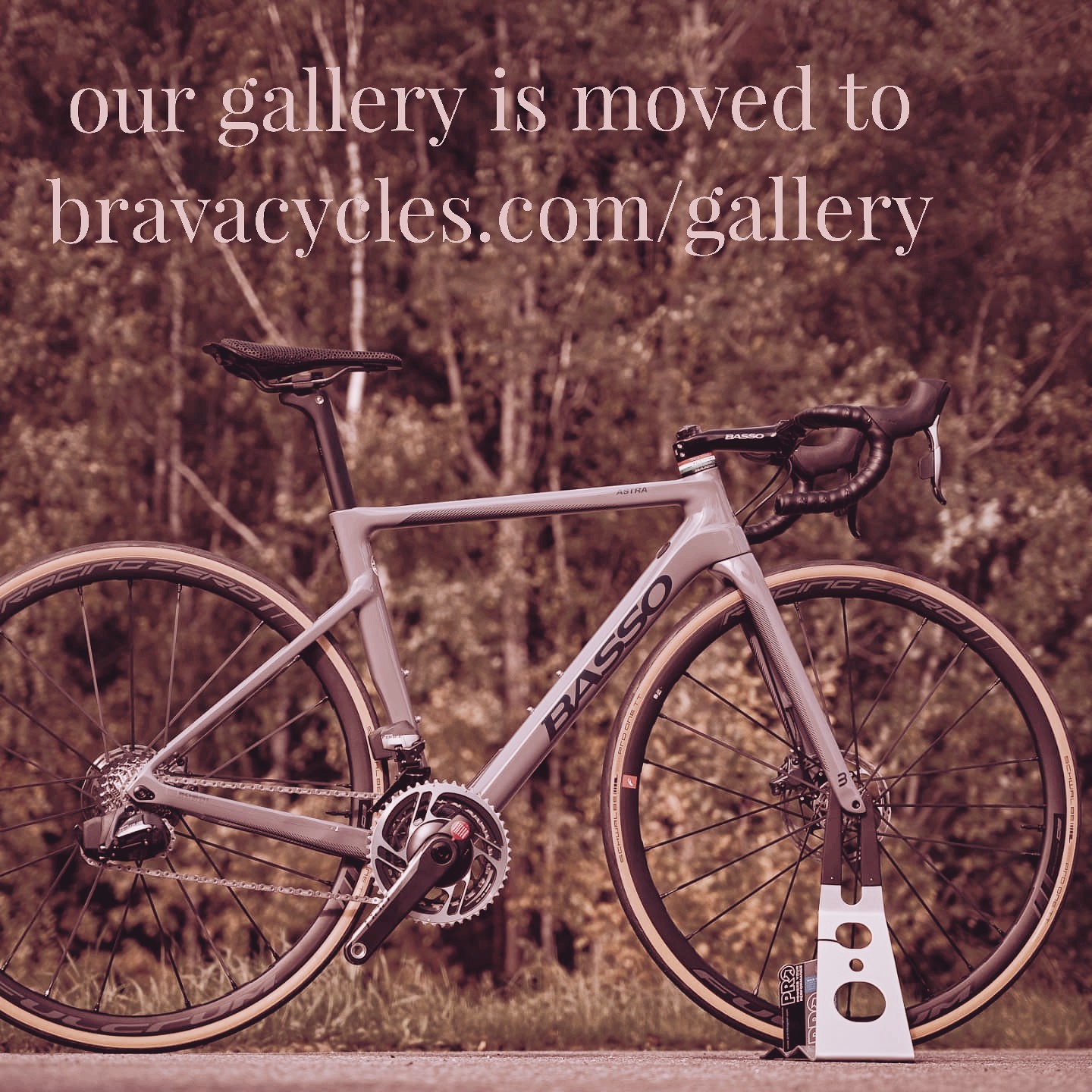 we have moved to: bravacycles.com/gallery
