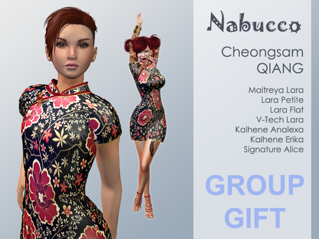 Nabucco cheongsam QIANG - Group Gift