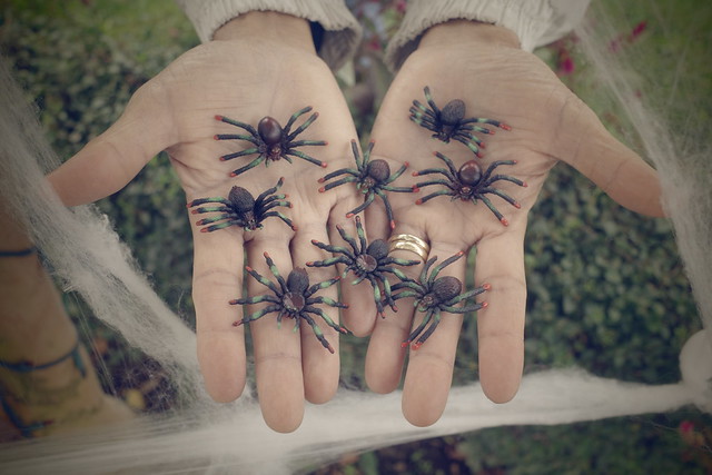 the ring bearer : shelob’s spawn