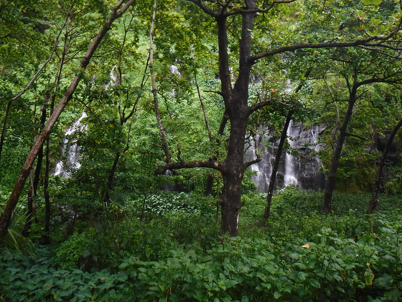 DSCF7400