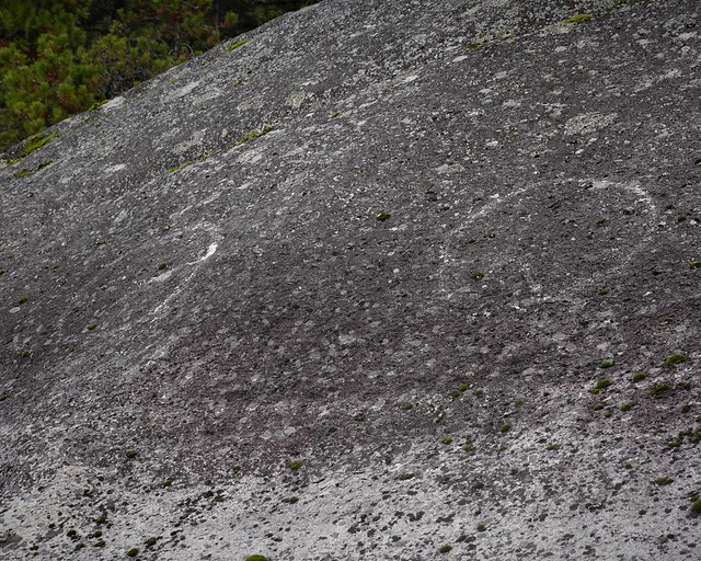 Petroglyphs SR600214