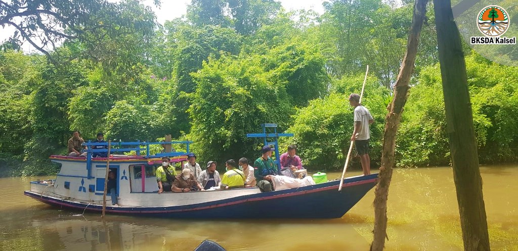 Kapal Wisata Mendukung Susur Sungai Sabuhur Suaka Margasatwa Pelaihari (02)