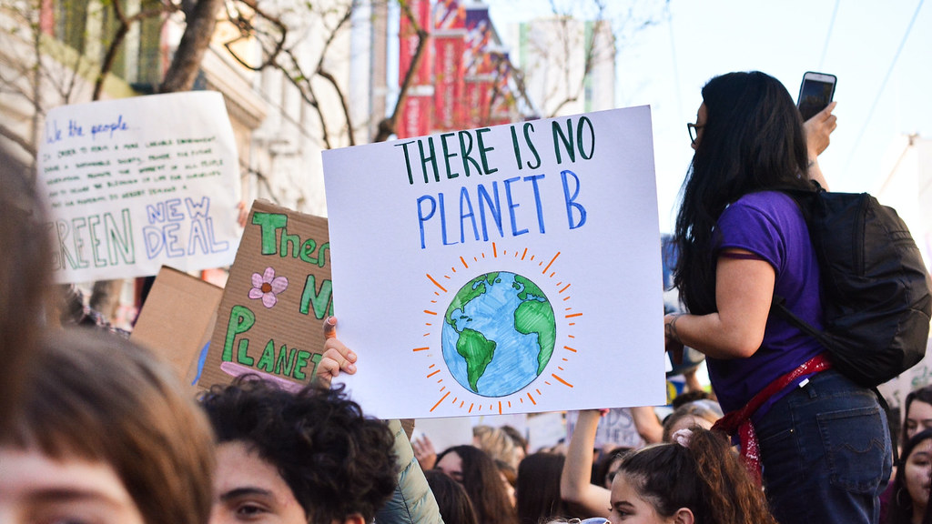 Homemade placards held aloft during a climate emergency demonstration.