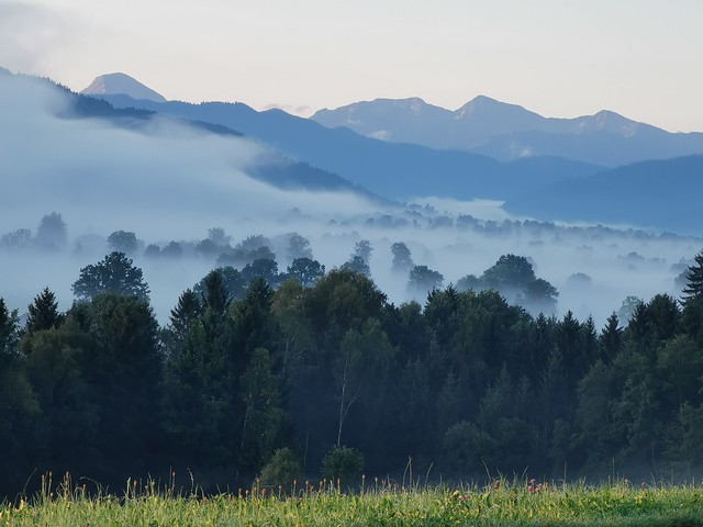 Morgennebel Alpen September Felder Bayern Oberbayern © Misty Morning Fields Alps Upper Bavaria Germany ©