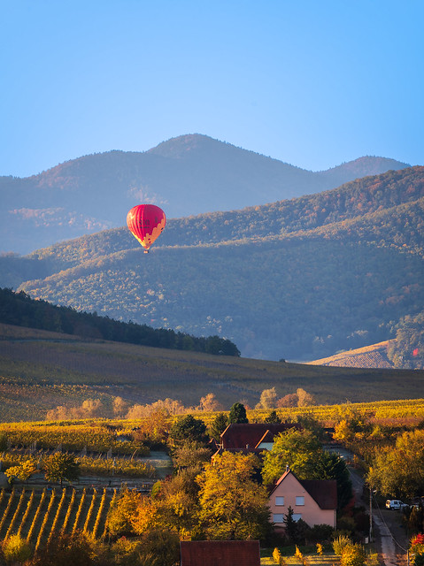 Sunrise hot air balloon over Riquewihr, Alsace, France. Autumn 2021