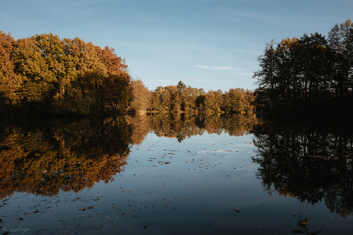 baarebenhausen bayern deutschland autumn leaf lake canon bavaria colors sunset
