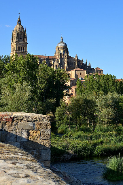 Salamanca. Catedral desde el Puente Romano