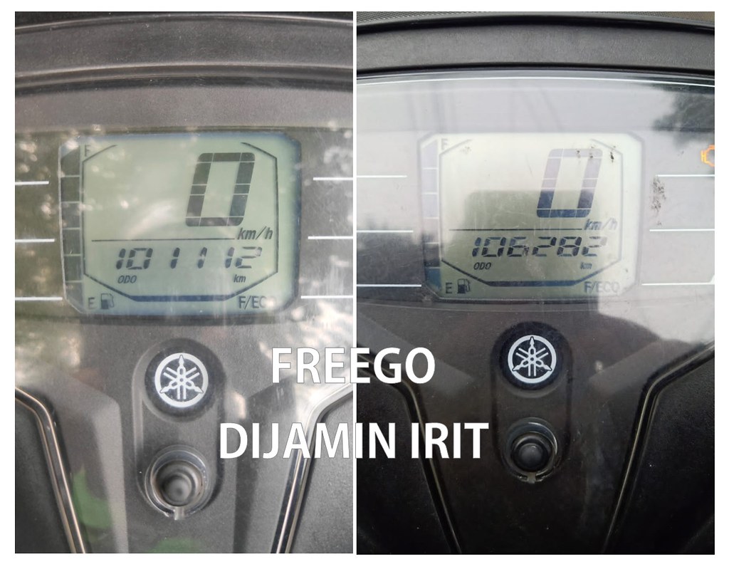 Yamaha FreeGo Irit