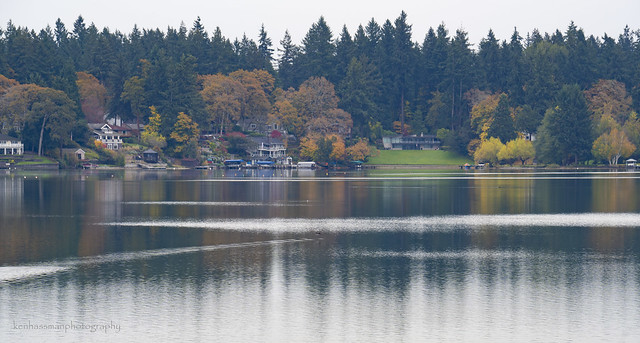Autumn Scene Along the Steilacoom Lake Shoreline