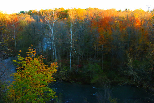 Early morning burn : Down by the river by Darrell Colby " You Call The Shots ", With the sunrise cresting the tree tops we have a early morning burn !
Pushing on that trigger is l