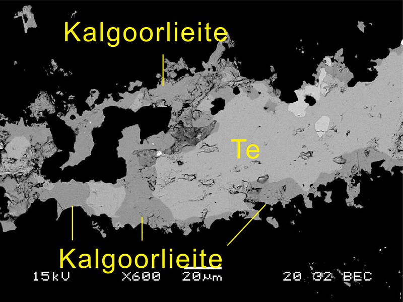 カルグーリー鉱 / Kalgoorlieite
