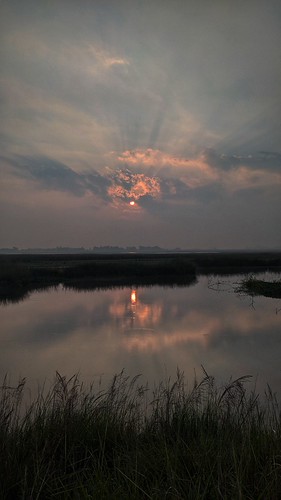 Sunrise by Muhammad Sabbirණ, canal sky morning sunrise sunlight