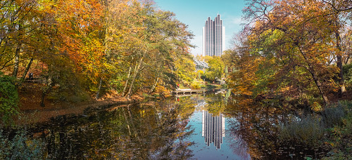 deutschland hamburg lenstagger plantenunblomen reflektion spiegelung hotel reflection lake park autumn germany building trees