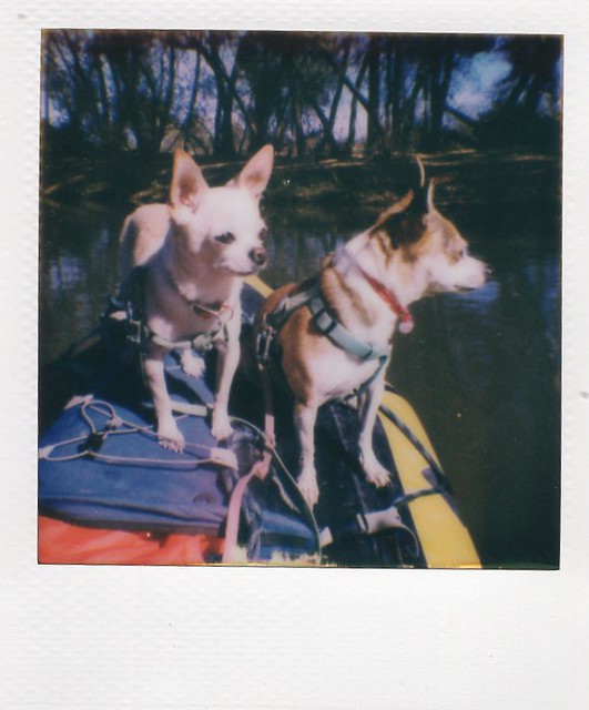 boat buddies