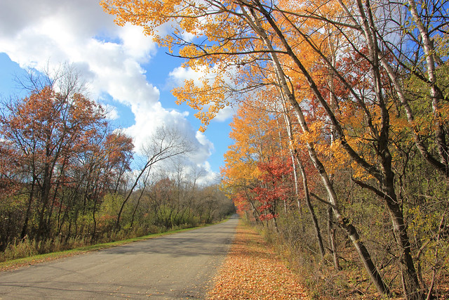 Autumn Road . . .