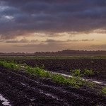 After the Rain Dawn after a Storm along the Texas Coastal plain in Wharton County.

&lt;a href=&quot;https://fineartamerica.com/featured/after-the-rain-corey-leopold.html&quot; rel=&quot;noreferrer nofollow&quot;&gt;fineartamerica.com/featured/after-the-rain-corey-leopold....&lt;/a&gt;