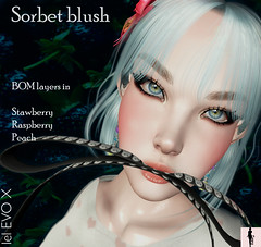 Group gift for September: Sorbet Blush!