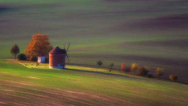 Autumn windmill