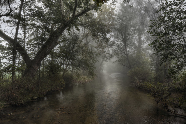 Foggy Creek