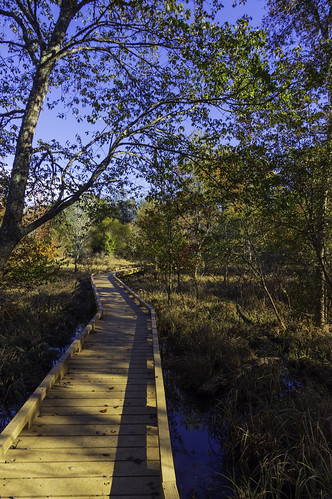 Rocky River Nature Park Boardwalk by carlin.lusk, pentax landscape wide angle boardwalk wetland marsh board walk nature park rocky river anderson sc s
