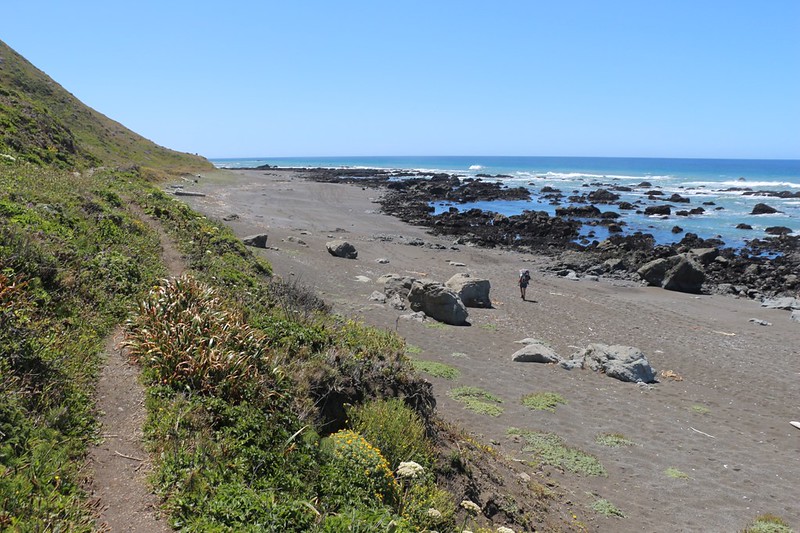 The Lost Coast Trail stays high above the beach near Punta Gorda, but at low tide Vicki was able to hike down there