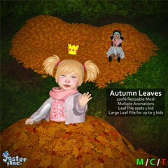 Presenting the new Autumn Leaves from Jester Inc.